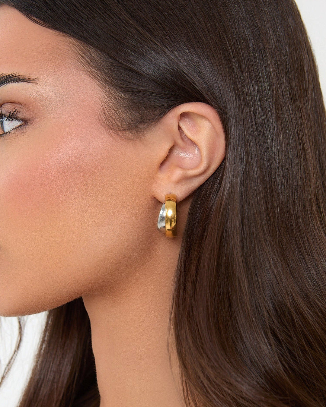 Two Tone Hoop Earrings